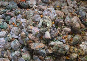 Separering af fødevare rejekt